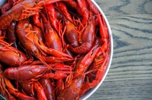 crawfish pot crawfish pot